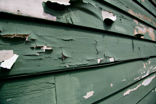 Best Siding Removal and Disposal  in Metamora, IL